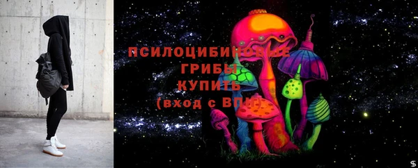 ешки Сосновый Бор