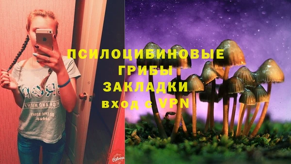 прущая мука Сосновка