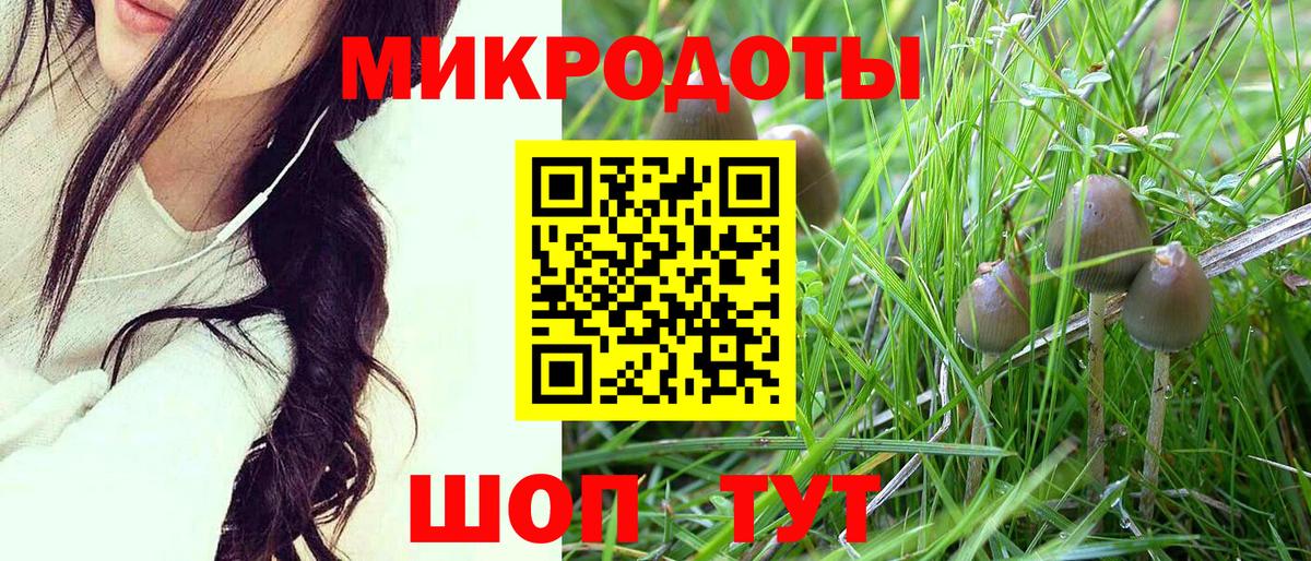 Галлюциногенные грибы Cubensis  Галлюциногенные грибы GOLDEN TEACHER  хочу   Вход с VPN  Братск 