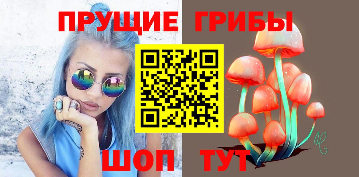 Галлюциногенные грибы Psilocybine cubensis Братск