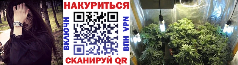 МАРИХУАНА OG Kush  Братск 